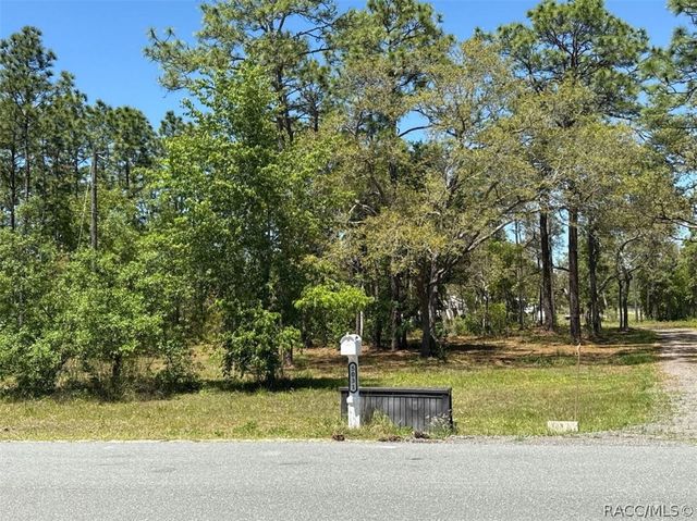 5032 W Field Street, Homosassa, FL 34446