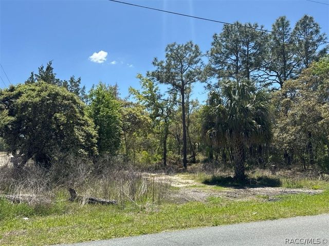 5032 W Field Street, Homosassa, FL 34446