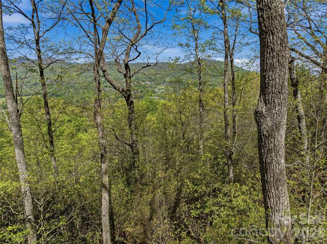 27 Deer Grass Court, Arden, NC 28704
