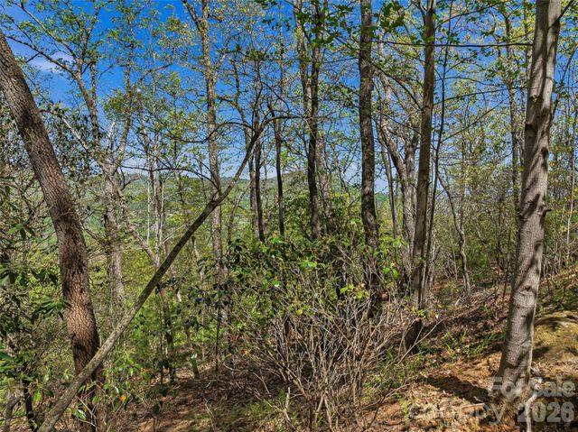 27 Deer Grass Court, Arden, NC 28704