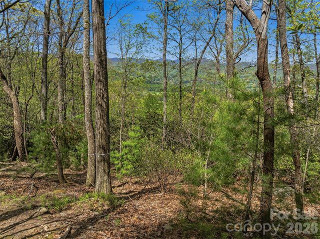 27 Deer Grass Court, Arden, NC 28704
