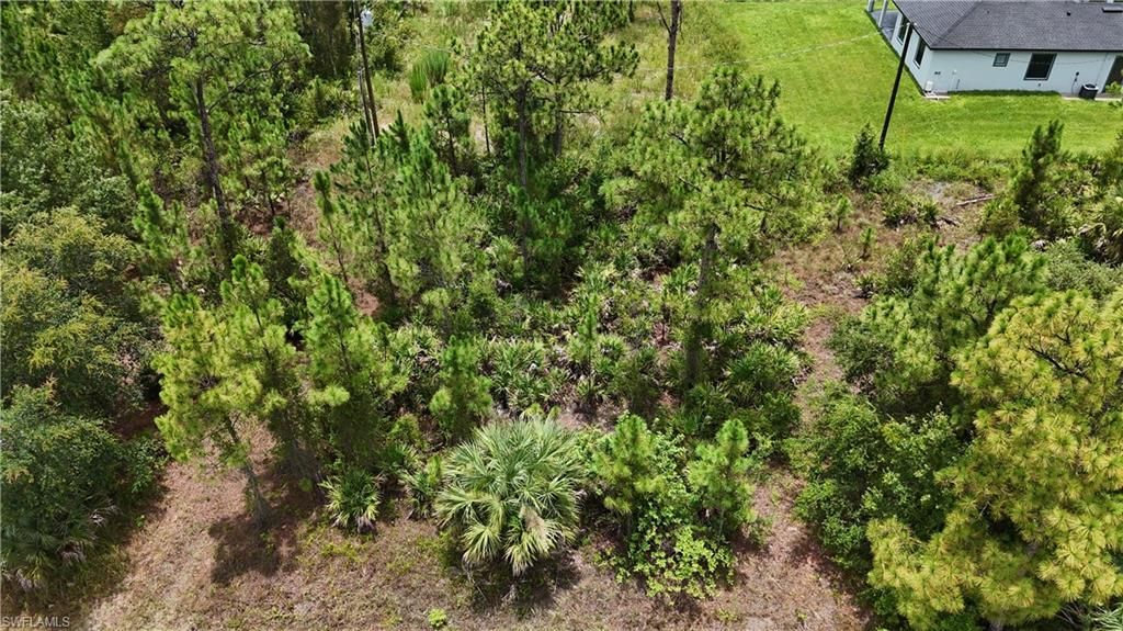 2402 E 10th ST, LEHIGH ACRES, FL 33936 — exterior