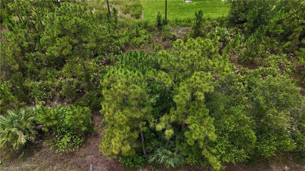2402 E 10th ST, LEHIGH ACRES, FL 33936 — photo 2