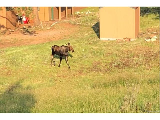 829 County Road 72, Bailey, CO 80421