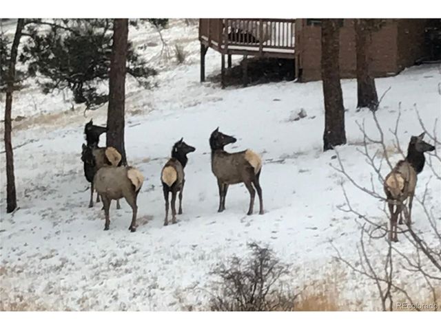 829 County Road 72, Bailey, CO 80421