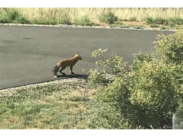 829 County Road 72, Bailey, CO 80421