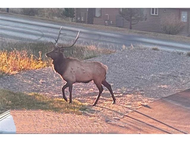 829 County Road 72, Bailey, CO 80421