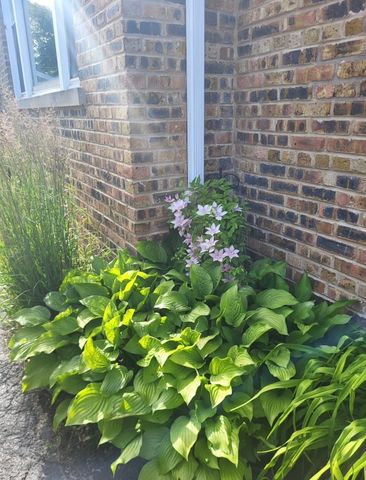 18630 Highland Avenue, Homewood, IL 60430