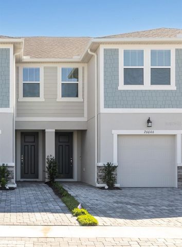 26046 WOVEN WICKER BEND, Lutz, FL 33559