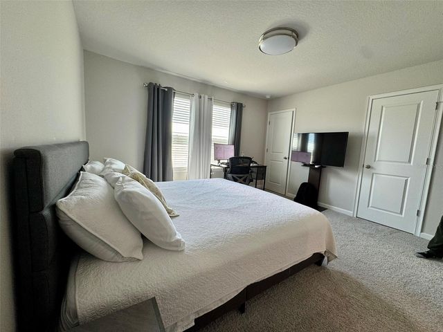 26046 WOVEN WICKER BEND, Lutz, FL 33559