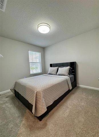 26046 WOVEN WICKER BEND, Lutz, FL 33559