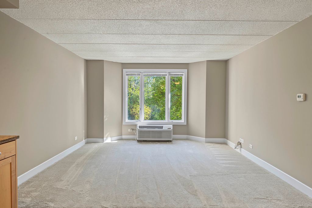 1 Renaissance Place 205, Palatine, IL 60067 — photo 5