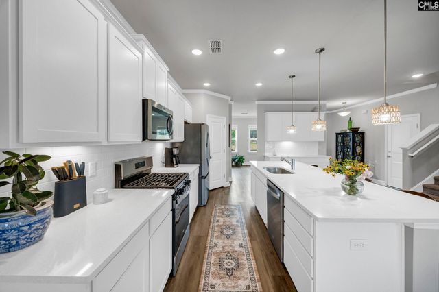 149 Monroe Preserve Drive, Chapin, SC 29036
