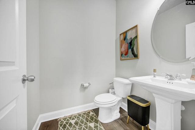 149 Monroe Preserve Drive, Chapin, SC 29036