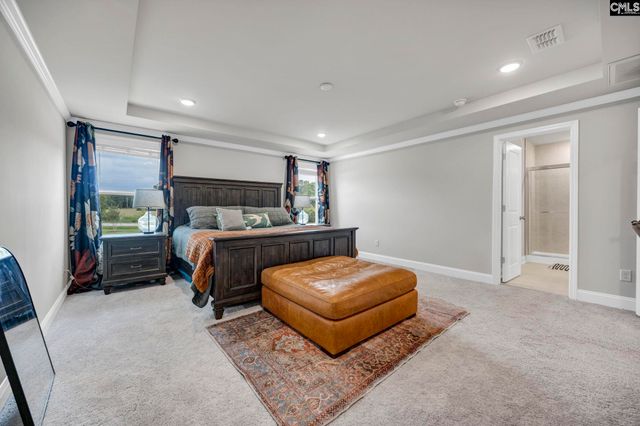 149 Monroe Preserve Drive, Chapin, SC 29036