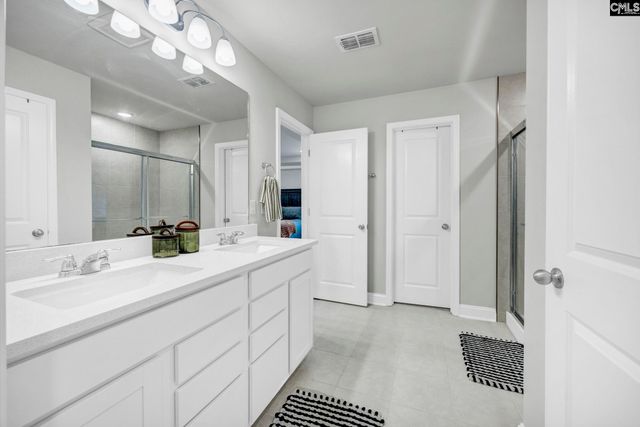 149 Monroe Preserve Drive, Chapin, SC 29036