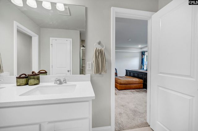 149 Monroe Preserve Drive, Chapin, SC 29036