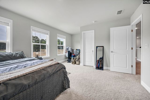 149 Monroe Preserve Drive, Chapin, SC 29036