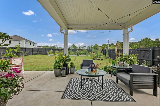 149 Monroe Preserve Drive, Chapin, SC 29036