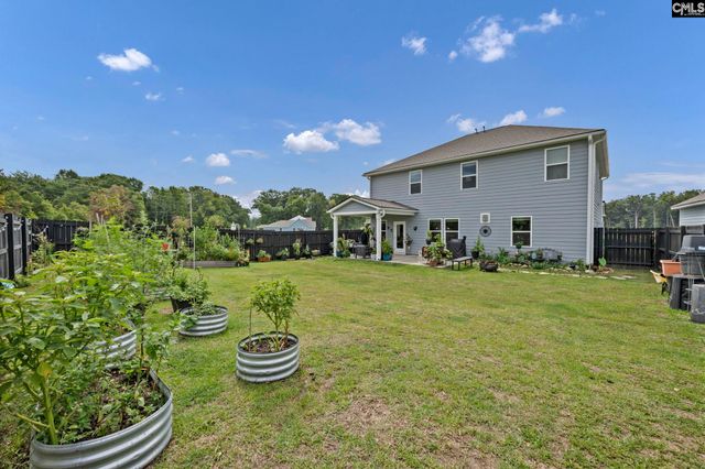 149 Monroe Preserve Drive, Chapin, SC 29036