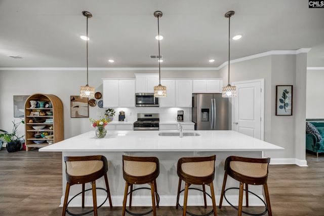 149 Monroe Preserve Drive, Chapin, SC 29036
