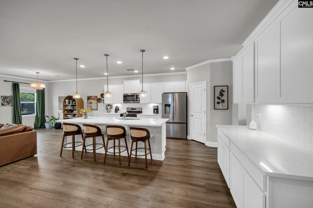 149 Monroe Preserve Drive, Chapin, SC 29036