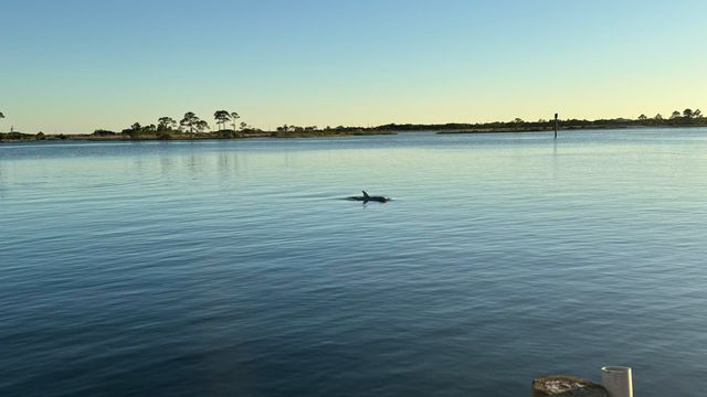 209 W Miracle Strip Parkway APT F104, Mary Esther, FL 32569