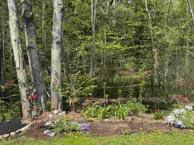 76 Sunrise Drive, Moultonborough, NH 03254
