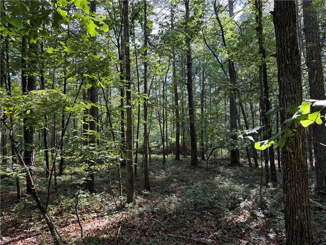 0 Clear Lake Drive, Adairsville, GA 30103