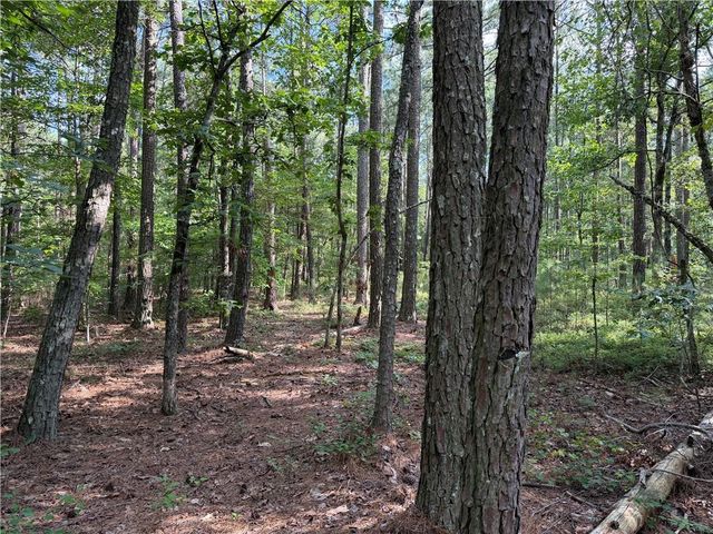 0 Clear Lake Drive, Adairsville, GA 30103
