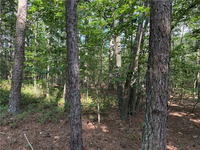 0 Clear Lake Drive, Adairsville, GA 30103