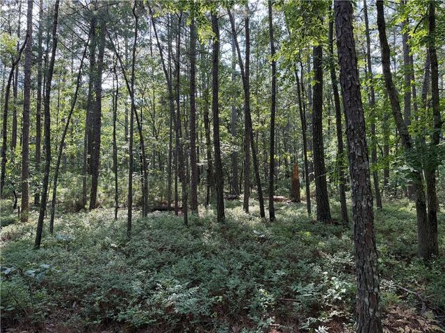 0 Clear Lake Drive, Adairsville, GA 30103