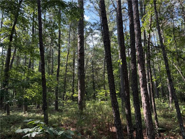 0 Clear Lake Drive, Adairsville, GA 30103