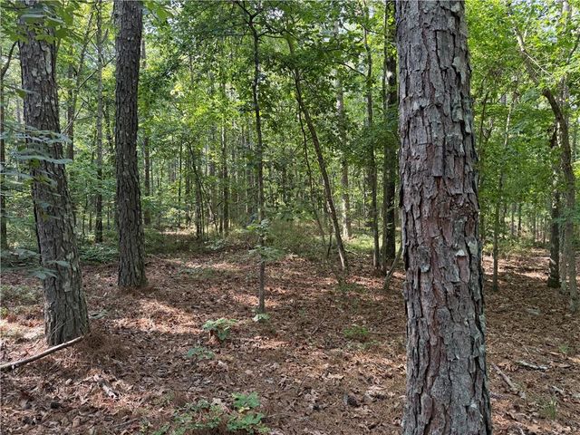 0 Clear Lake Drive, Adairsville, GA 30103
