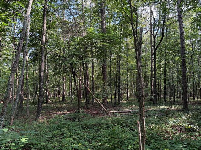 0 Clear Lake Drive, Adairsville, GA 30103