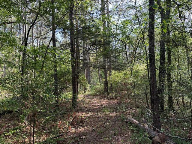 0 Clear Lake Drive, Adairsville, GA 30103