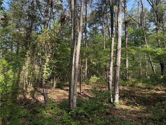 0 Clear Lake Drive, Adairsville, GA 30103