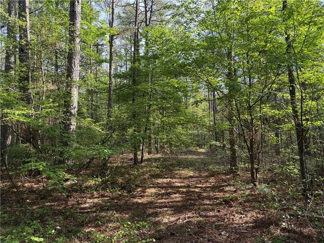 0 Clear Lake Drive, Adairsville, GA 30103