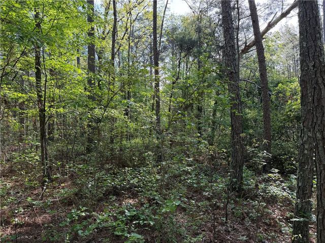 0 Clear Lake Drive, Adairsville, GA 30103