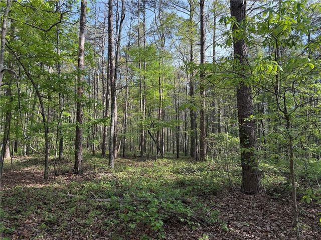 0 Clear Lake Drive, Adairsville, GA 30103
