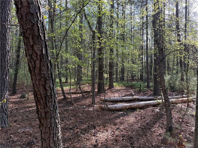 0 Clear Lake Drive, Adairsville, GA 30103