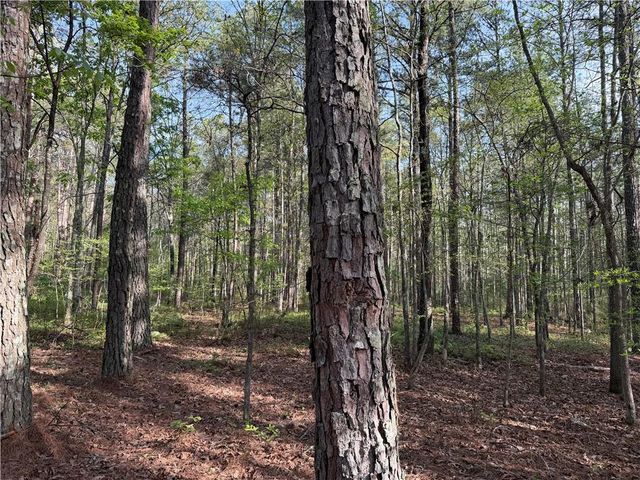 0 Clear Lake Drive, Adairsville, GA 30103