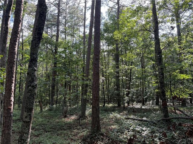 0 Clear Lake Drive, Adairsville, GA 30103