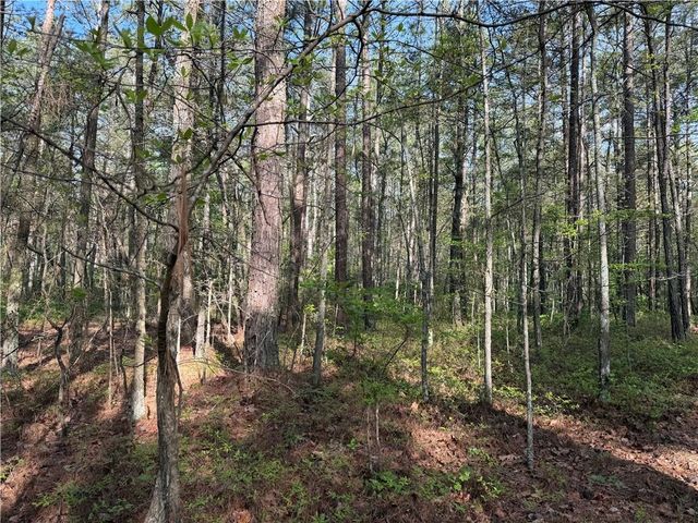0 Clear Lake Drive, Adairsville, GA 30103