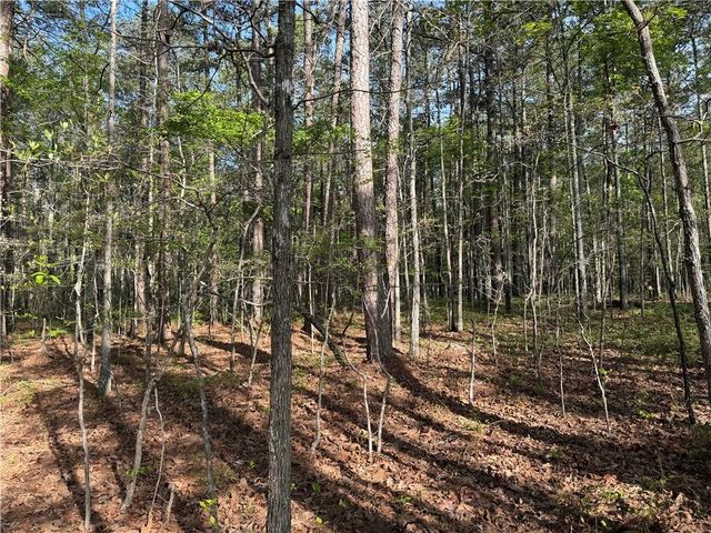 0 Clear Lake Drive, Adairsville, GA 30103