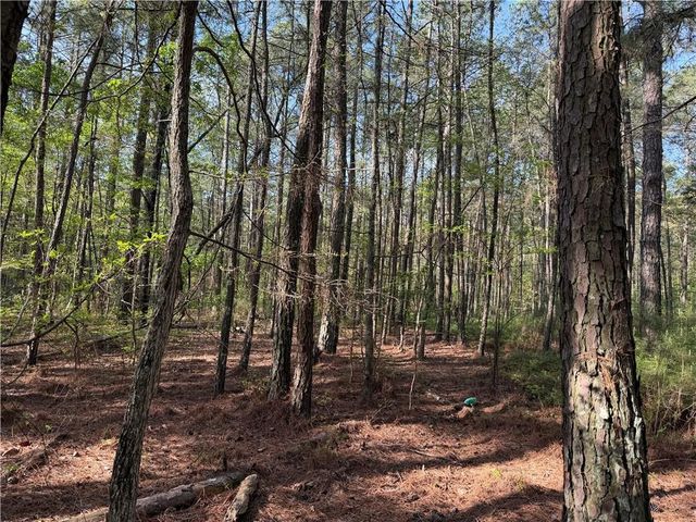 0 Clear Lake Drive, Adairsville, GA 30103