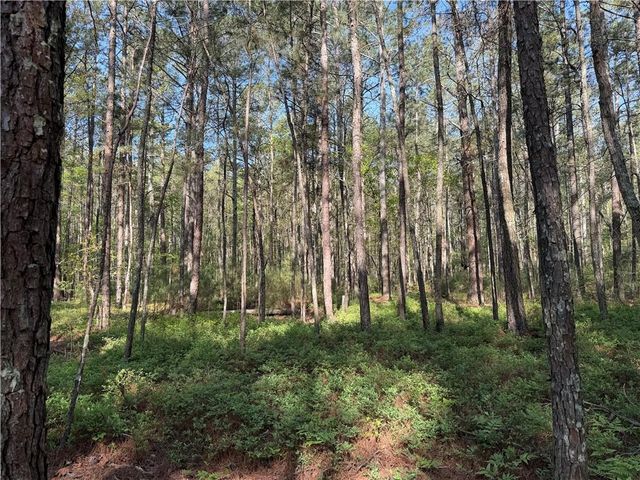 0 Clear Lake Drive, Adairsville, GA 30103