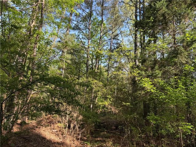 0 Clear Lake Drive, Adairsville, GA 30103