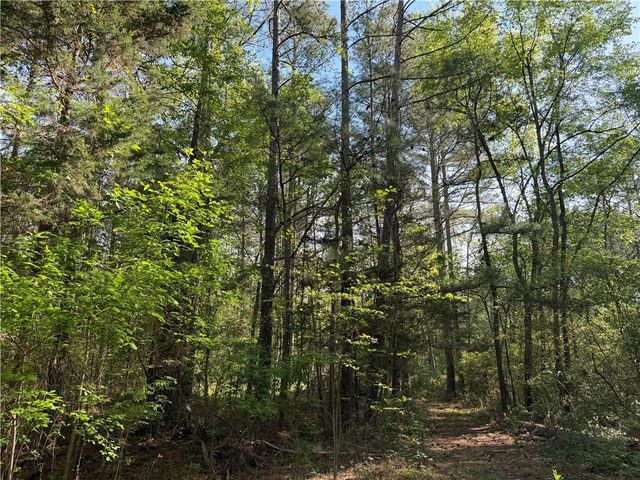 0 Clear Lake Drive, Adairsville, GA 30103