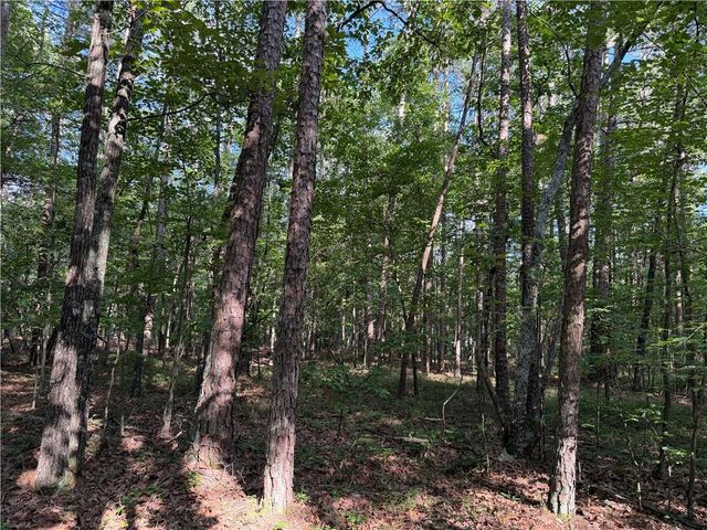 0 Clear Lake Drive, Adairsville, GA 30103